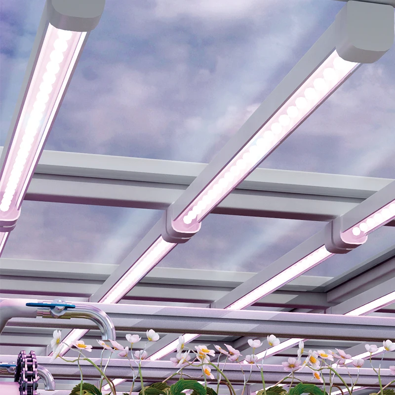 40Feet Indoor Smart Strawberry Aeroponics Towers Garden Systems Hydroponic Container System Vertical Farming