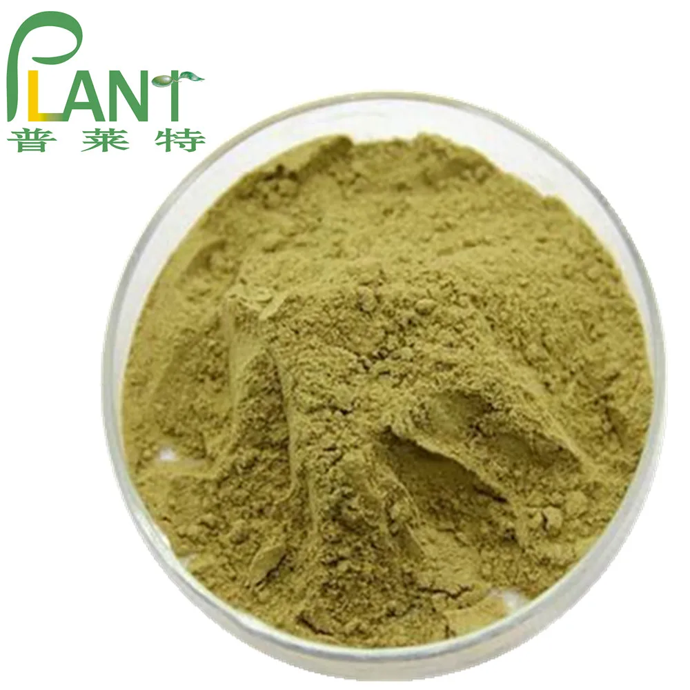 
Factory supply pure natural plant extracts Noni fruit extract 