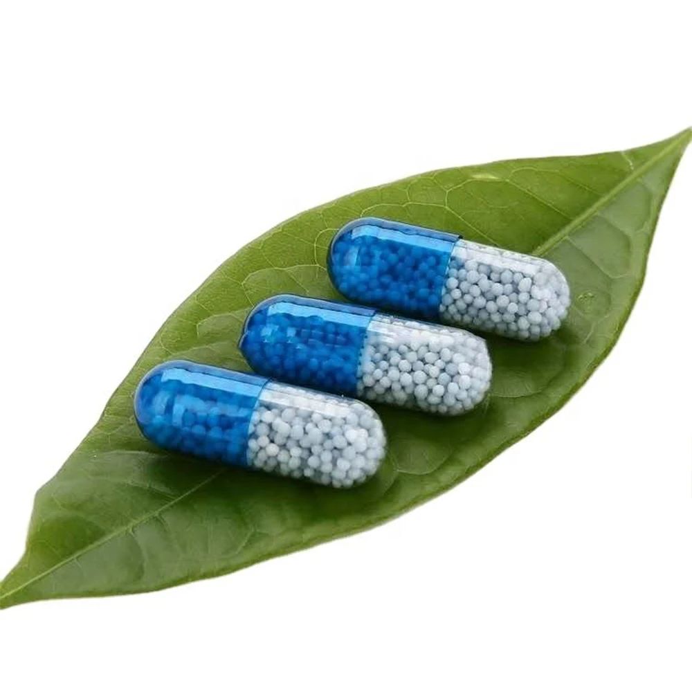 Wholesale custom privete label natural strong Fast Fat Burner Supplement Slimming Products Weight Loss hard Capsules