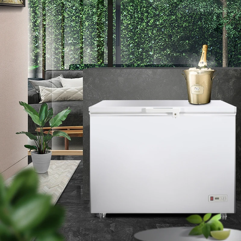 Mini Double-Temperature Household Food Chest Freezer