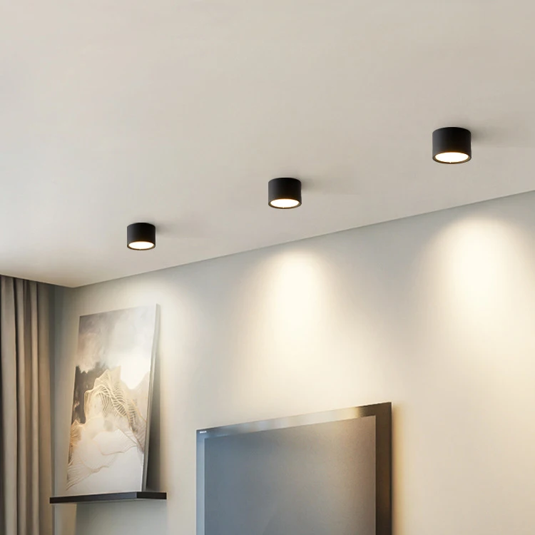 OGS Guzhen Manufacture White Black Aluminum Ceiling Spotlight Round Design Mini Led 30W Down Lamp