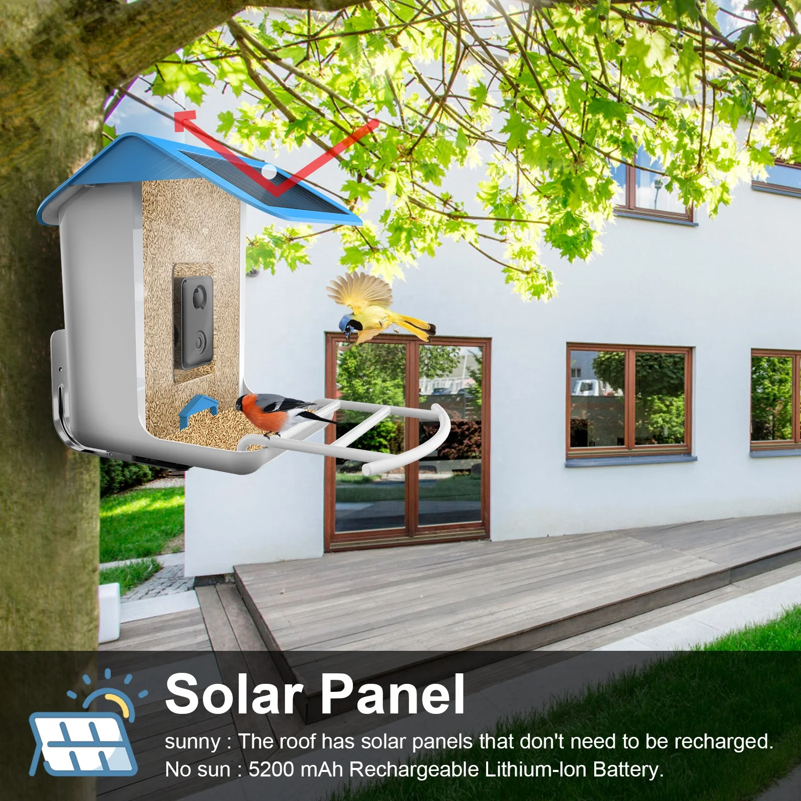 WIFI Smart Bird Feeder with Camera Free AI identification Bird Camera Control by Bird Lover APP