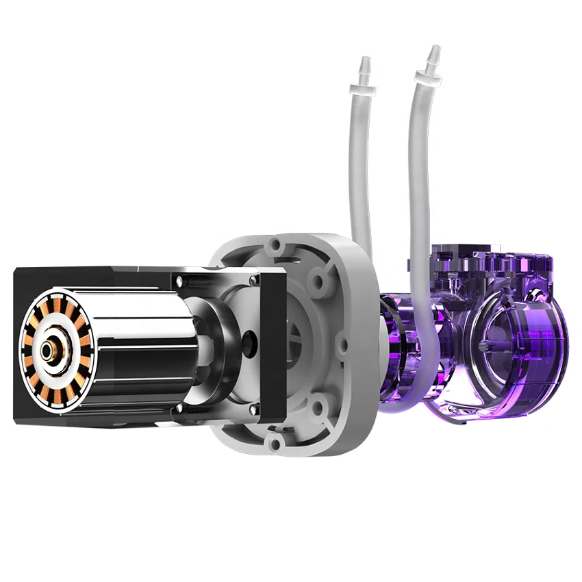 Cinyar 12v 24v DC Quality Assurance High Precision Stepper Motor for Mini Micro Medical/Chemical Viscous Liquid Peristaltic Pump