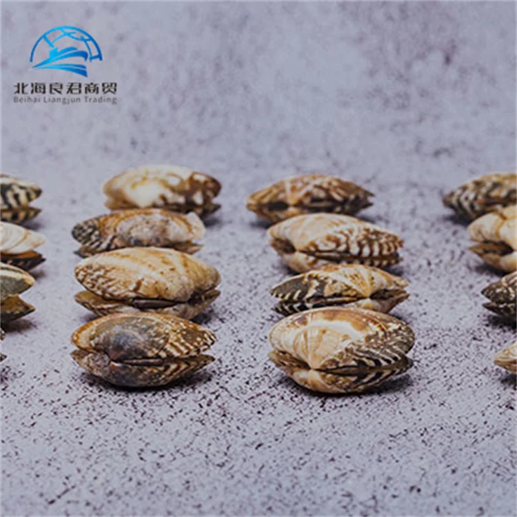 Wholesale Competitive Prices naturally High quality fresh seafood frozen freeze Without Shell blood clam meat