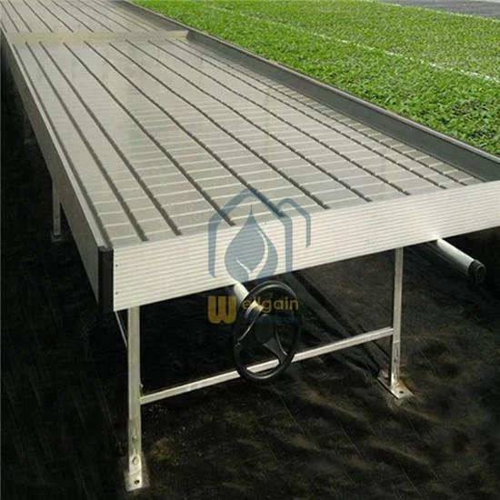Greenhouse ebb and flow system plant nursery equipment flood tray tables hydroponic system rolling table