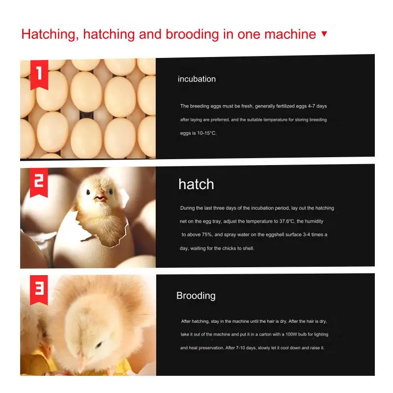 Automatic incubator and hatcher/egg incubator hatchery/chicken poultry farm equipment