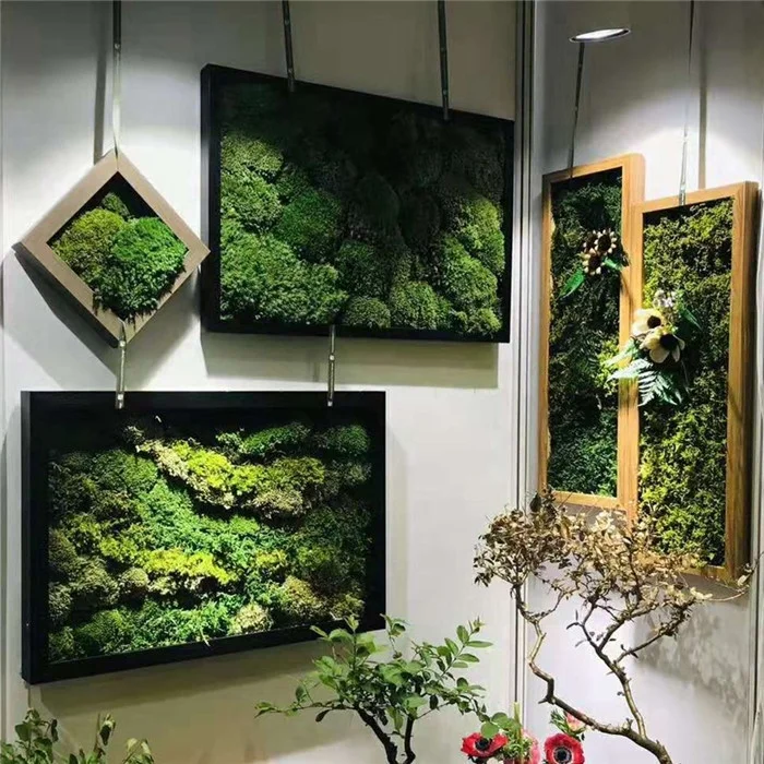 High Quality Real Natural Soft Everlasting Preserved Moss Wall Hanging Framed Green Moss