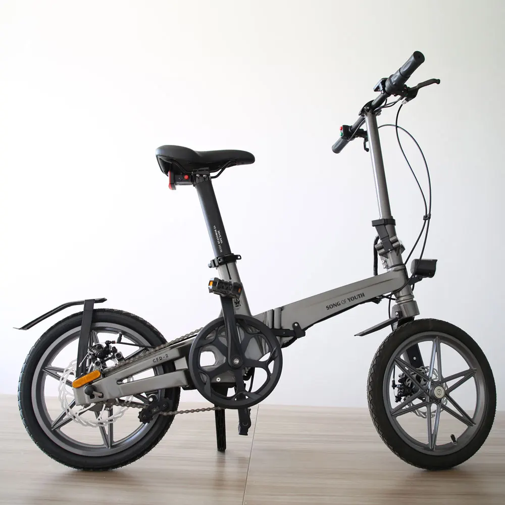 2021 New Products Lithium Battery Folding E Bike/Folding Electric Bike/Mini Bicycle/Foldable Ebike 250W