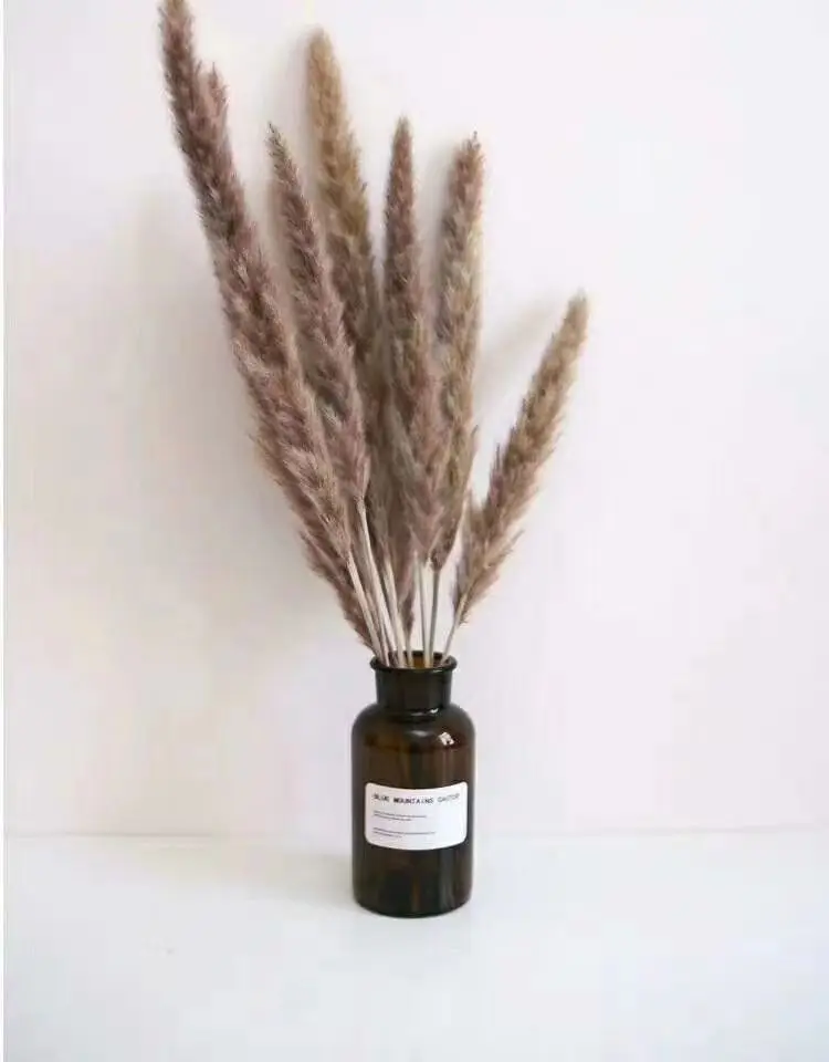 Оптовая продажа 2021, цветы, сушеные маленькие пампасные травы для свадебного украшения