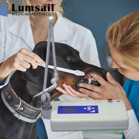 CO2 laser for pets dog Surgery for Veterinary clinic