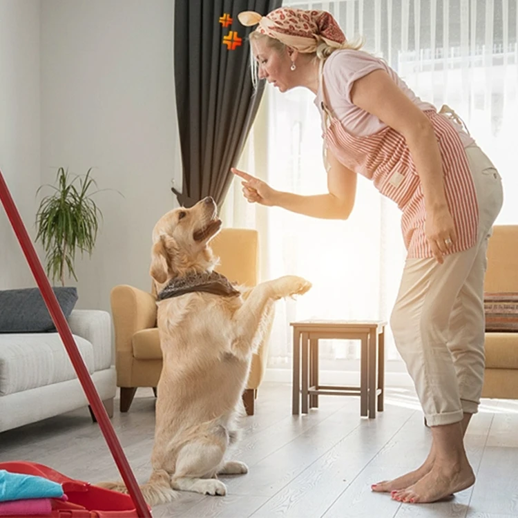 free sample and free shipment novel pet products 2024 new arrival best sale dog pee training pads  dog diapers