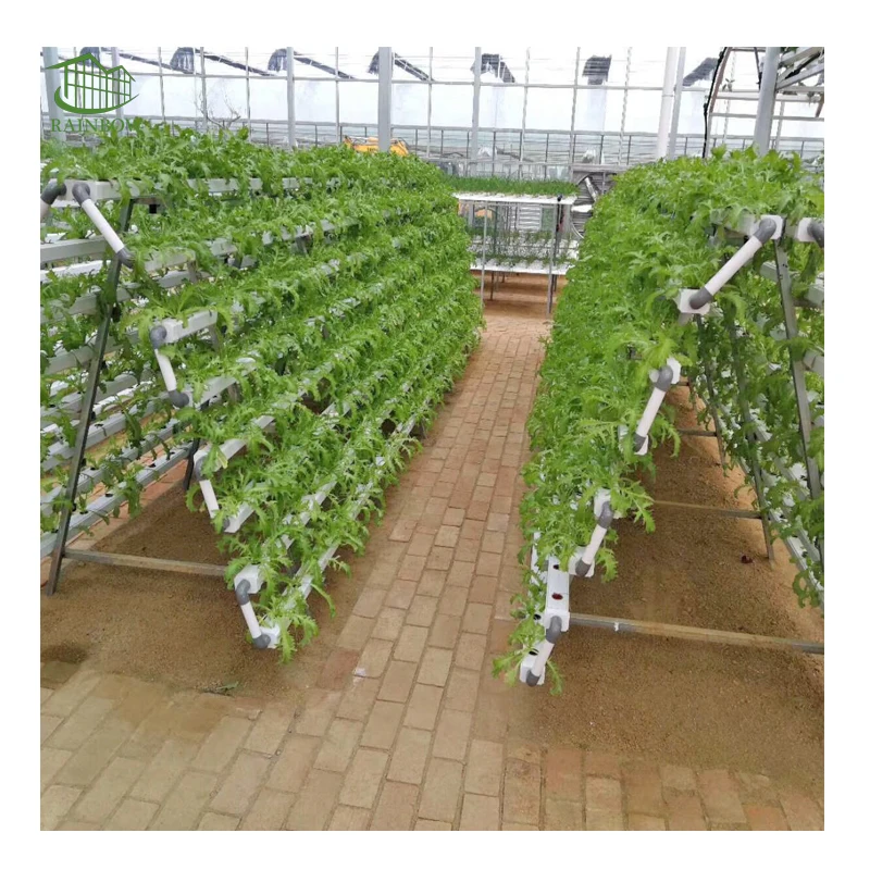 Agriculture NFT lettuce hydroponic growing systems Aeroponics  vertical for greenhouse farm