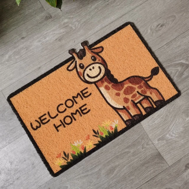 Household Entrance PVC coil  Front Door Mat indoor Outdoor Rug Non-Slip waterproof Welcome hallway Doormat pet dag cat door mat