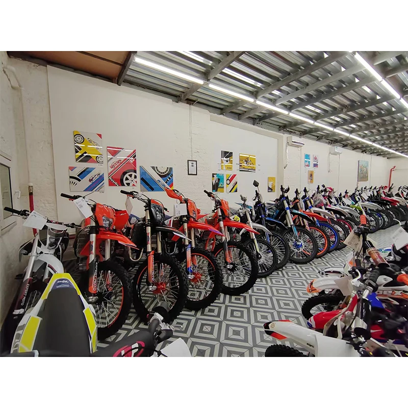 motorcycle 125 150 160 CC 140CC 1 dirt bike pit bike cross bike enduro with MANCROS engine upside down fork ELX300-NC