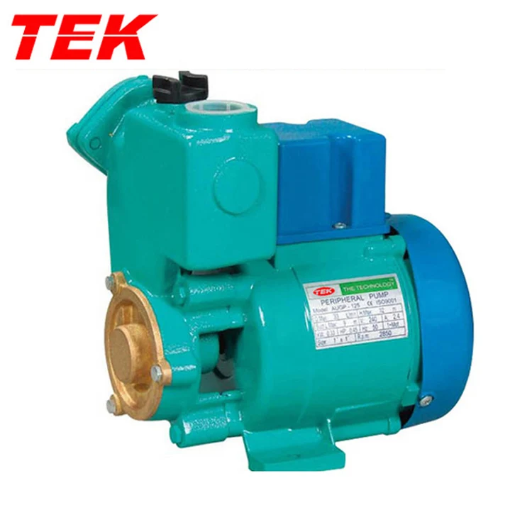 GP-250A GP250A GP-250 GP-250 Copper Wire Motor Cast Iron Self-priming Peripheral GP Pump OEM