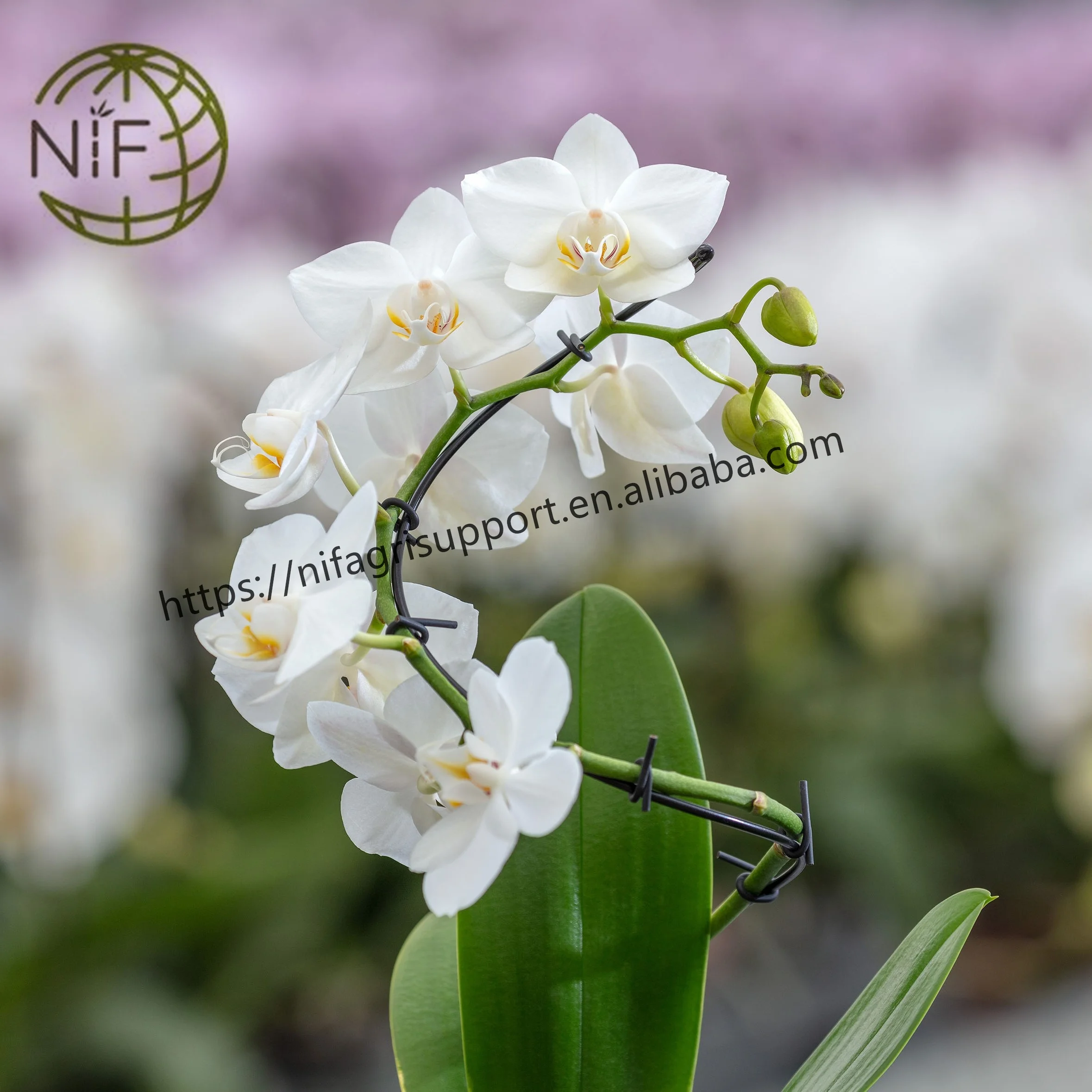 NIF Factory new product eco-friendly material multi-function purpose orchid clips hooks for gardening