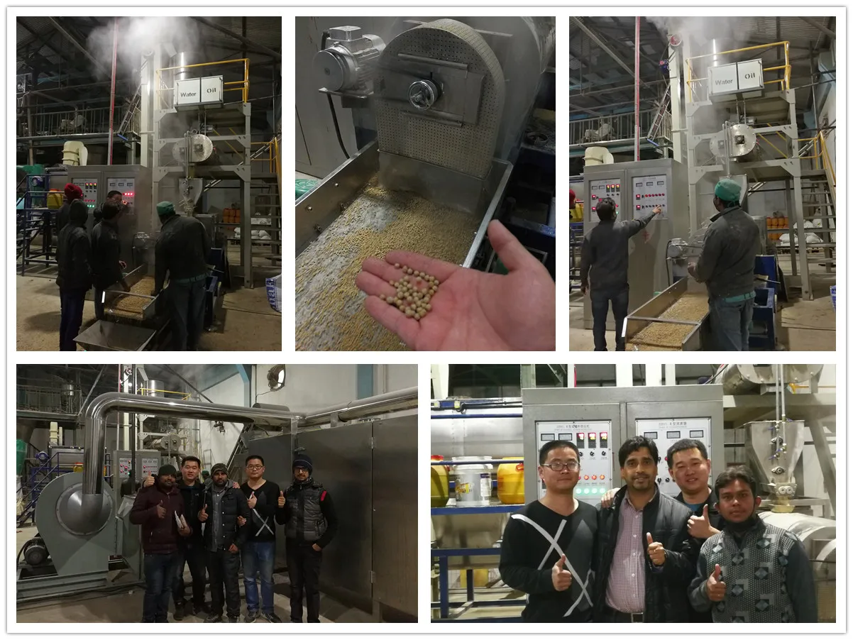 Zhuoheng Outlet Best selling wholesale price dry pet dog cat food pellet processing machine