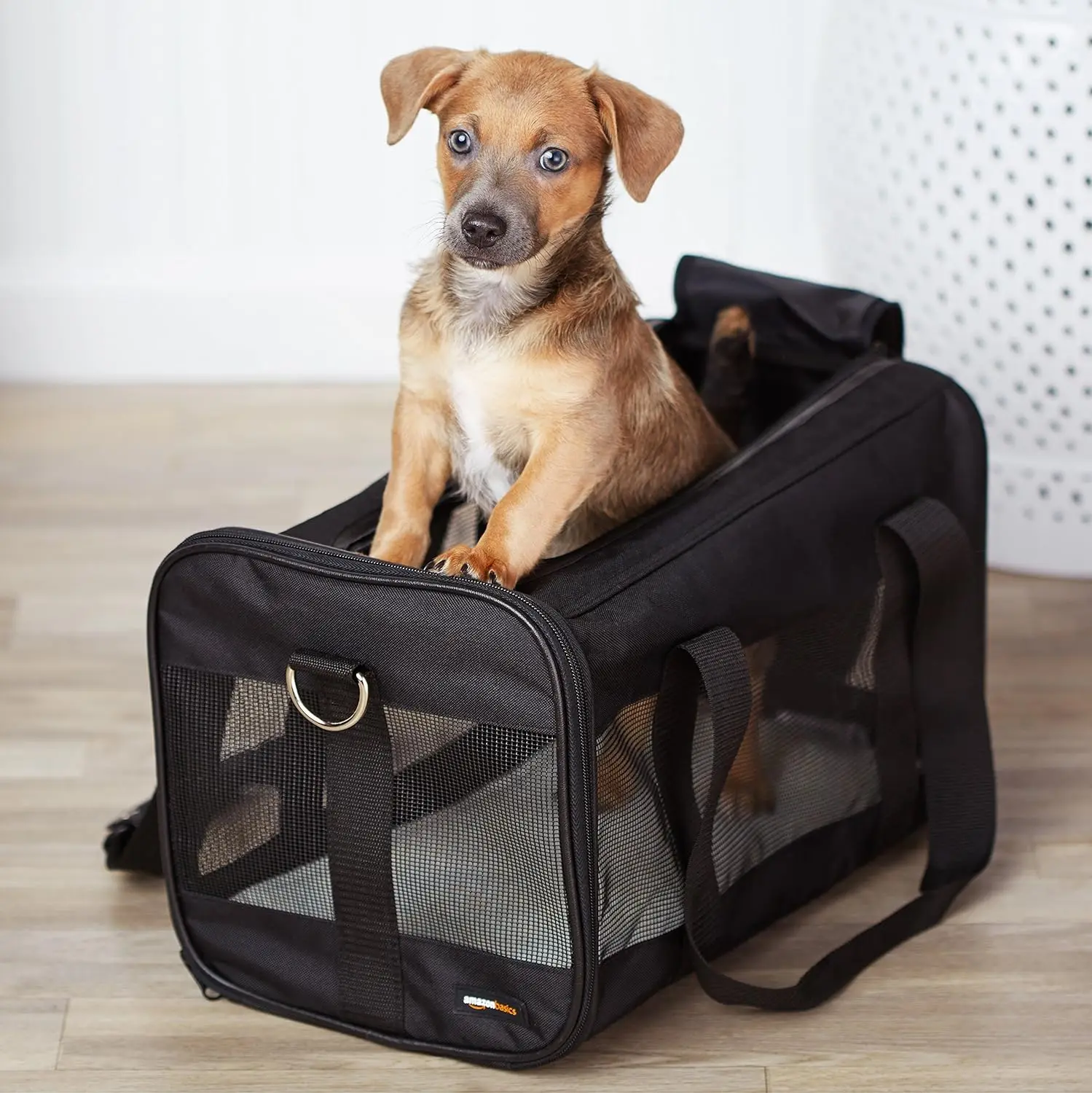 Pawise Large Capacity Safe Portable Zipper Design Dog Cat Outdoor Travel Carrier Foldable Foldable Pet Backpack Bag Dog Carrier