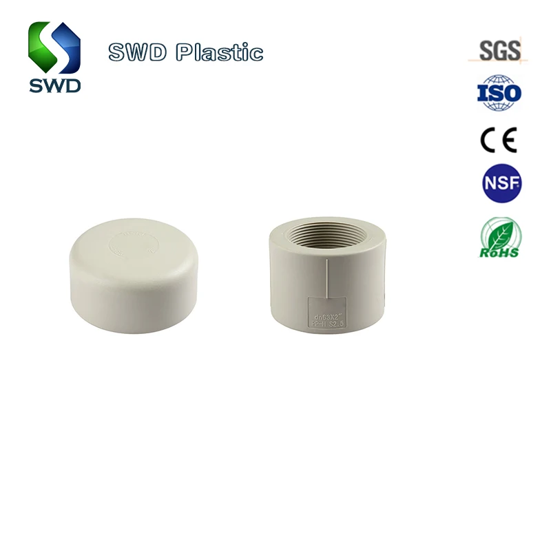 DIN/JIS/ANSI UPVC/CPVC SCH80 pipe fittings PPH end cap industry use PPH PP corrosion-resistant plastic water pipe fittings