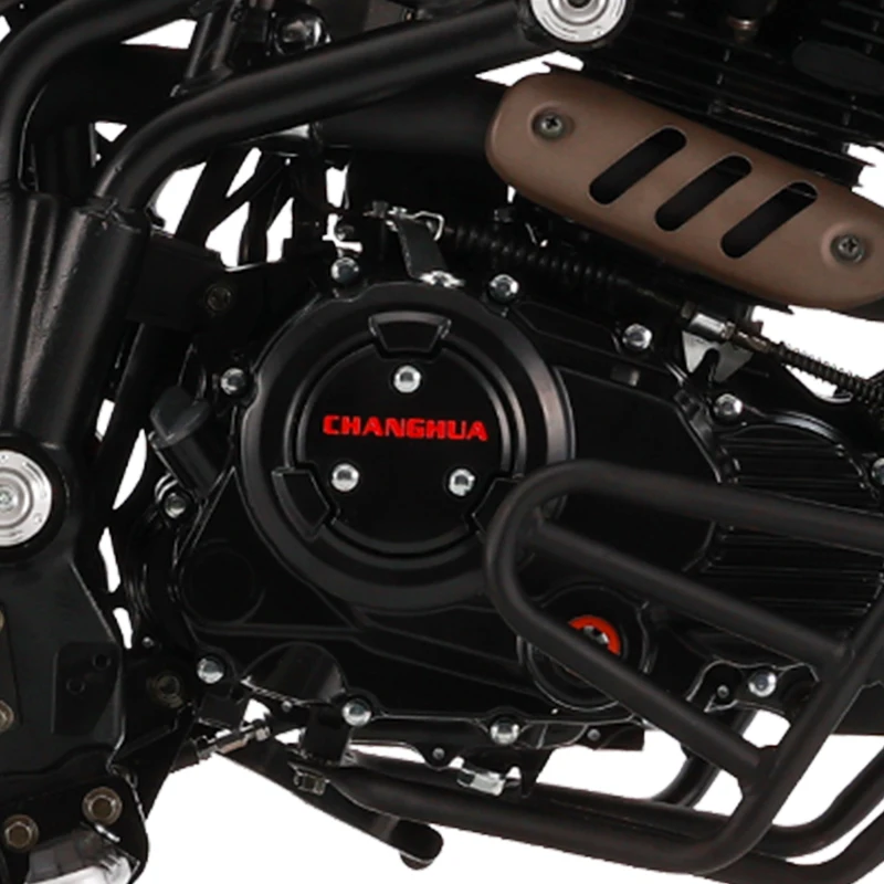 Changhua Chinese Wholesale Custom 250cc street carburetor motorcycle gasoline for sale  Cheap Sport Motor