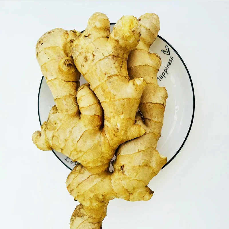 Competitive Price Nuisanceless Fresh Ginger Root Wholesale At Competitive Market Prices