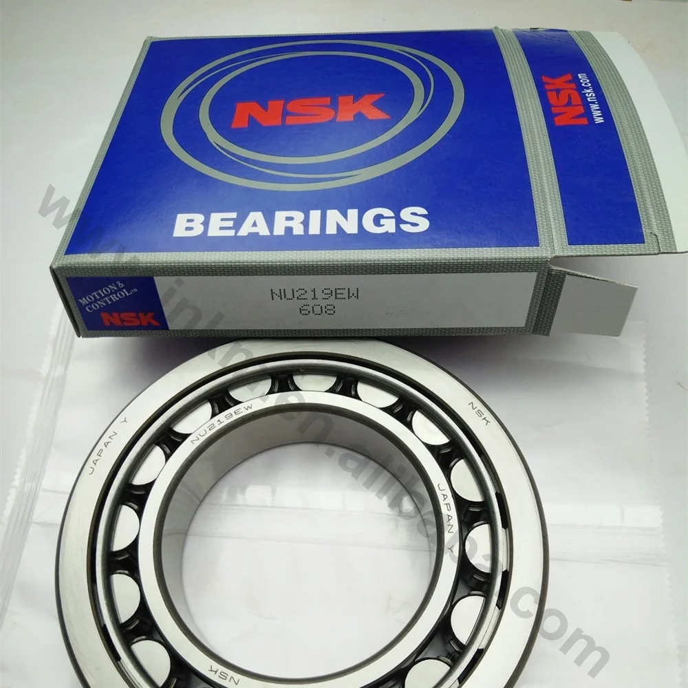 nsk roller bearing Nu219.jpg