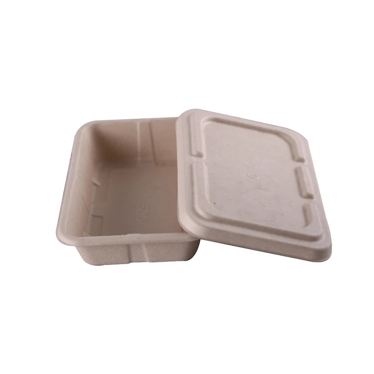 Food grade disposable wheat straw  bagasse Paper Pulp biodegradable Lunch Box Food Containers