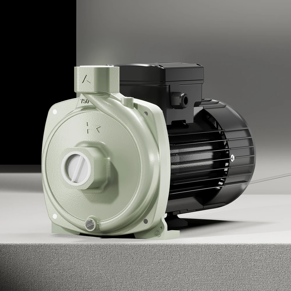 RHEKEN 220v ac нержавеющая сталь мини-Центробежный Насос Водяной насос список цен
