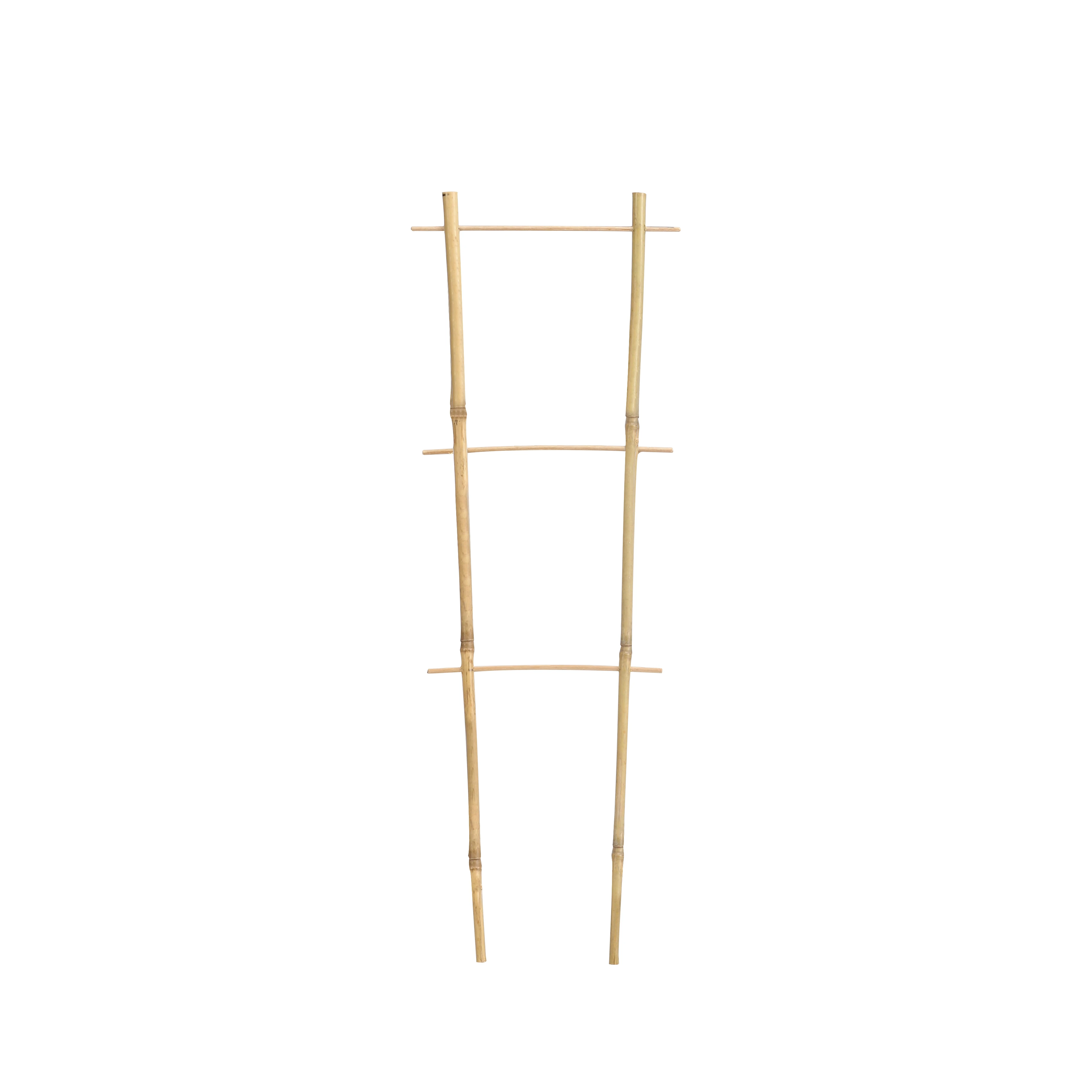 Plants Trellis for Potted Plants Climbing Plants Hoya Plants Ivy Plants