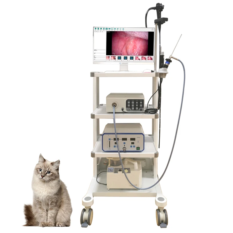 medical equipment camera laparoscope gastroscope endoscope imaging system for veterinary
