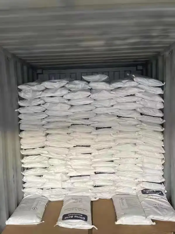 RZBC/lemon Star CAM Citric Acid Monohydrate Stock,ready to Ship