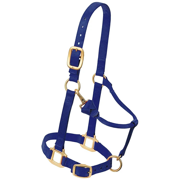 
High Comfort Equestrian Products Horse Halter, High quality Head collars wholesale Customized horse Nylon halter 