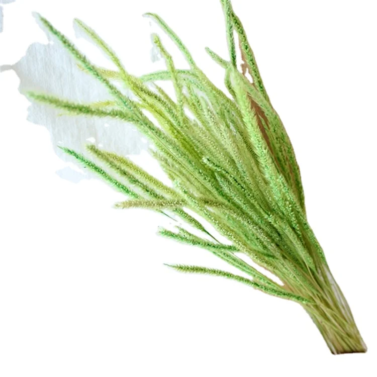 Длинная мягкая Настольная Ваза наполнитель цветы Solidago Canadensis высушенный декор цветок для офиса дома