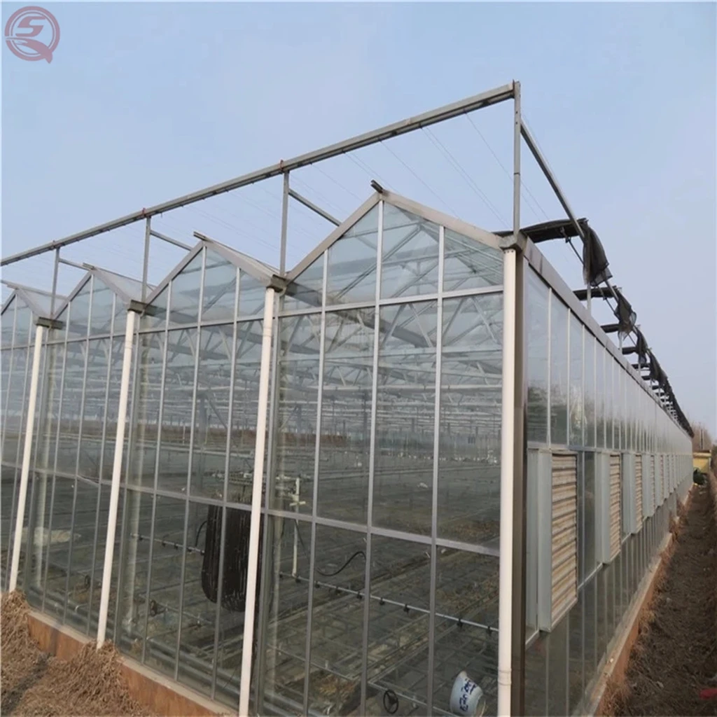 90% light transmittance multi span farming Glass greenhouses turnkey project manufacturer