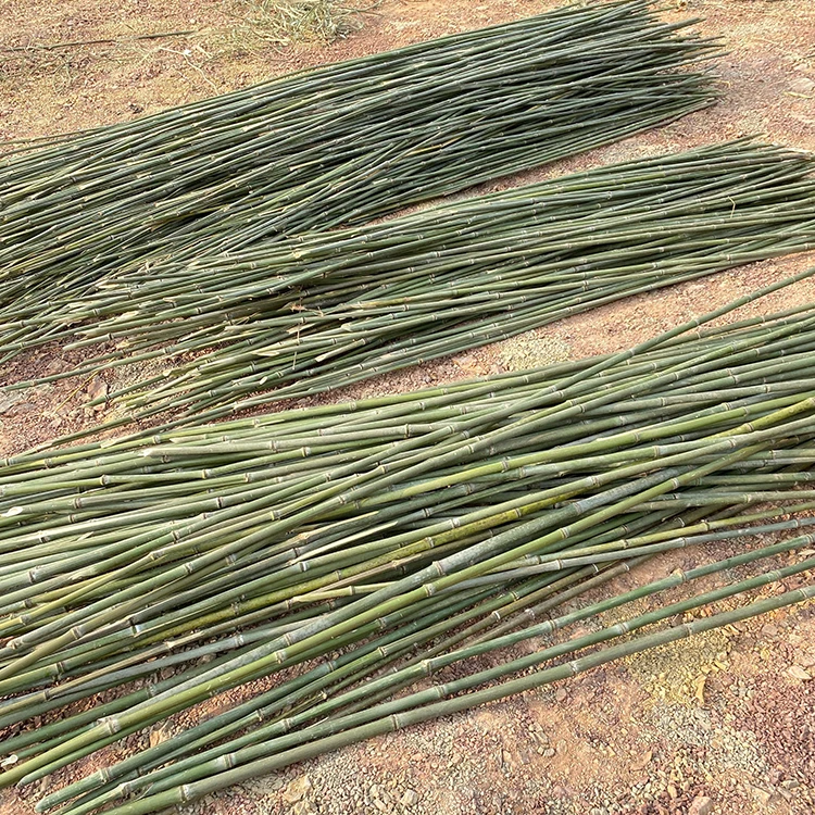 China Factory Direct Sales Of Strong Bamboo Fishing Rods 3M Long Bamboo Pole For Making Fence