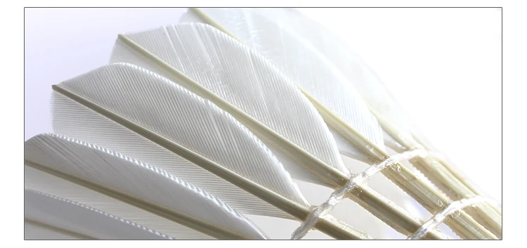 Top Sales Professional Durable Shuttle Cock Grade Goose Feather Badminton Shuttlecock