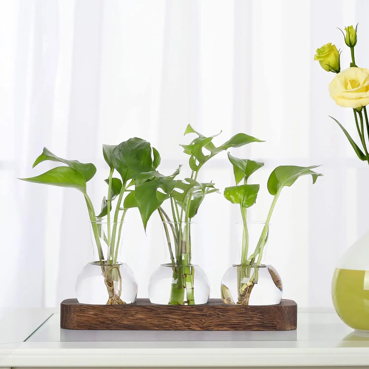 Retro Plant Terrarium with Wooden Tray