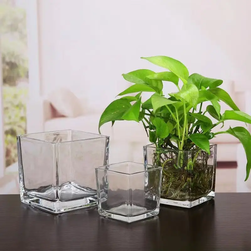 In Stock Simple Decorative Table Cube Plant Flower Vases Clear Square Heavy Flower Glass Vase