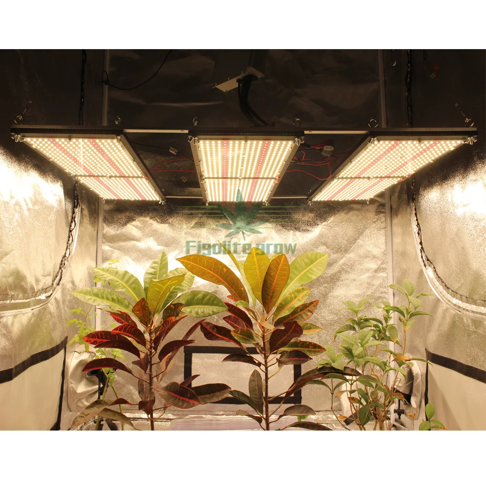 600W original LM301h mix 660nm UV IR full spectrum grow light with MEAN WELL driver