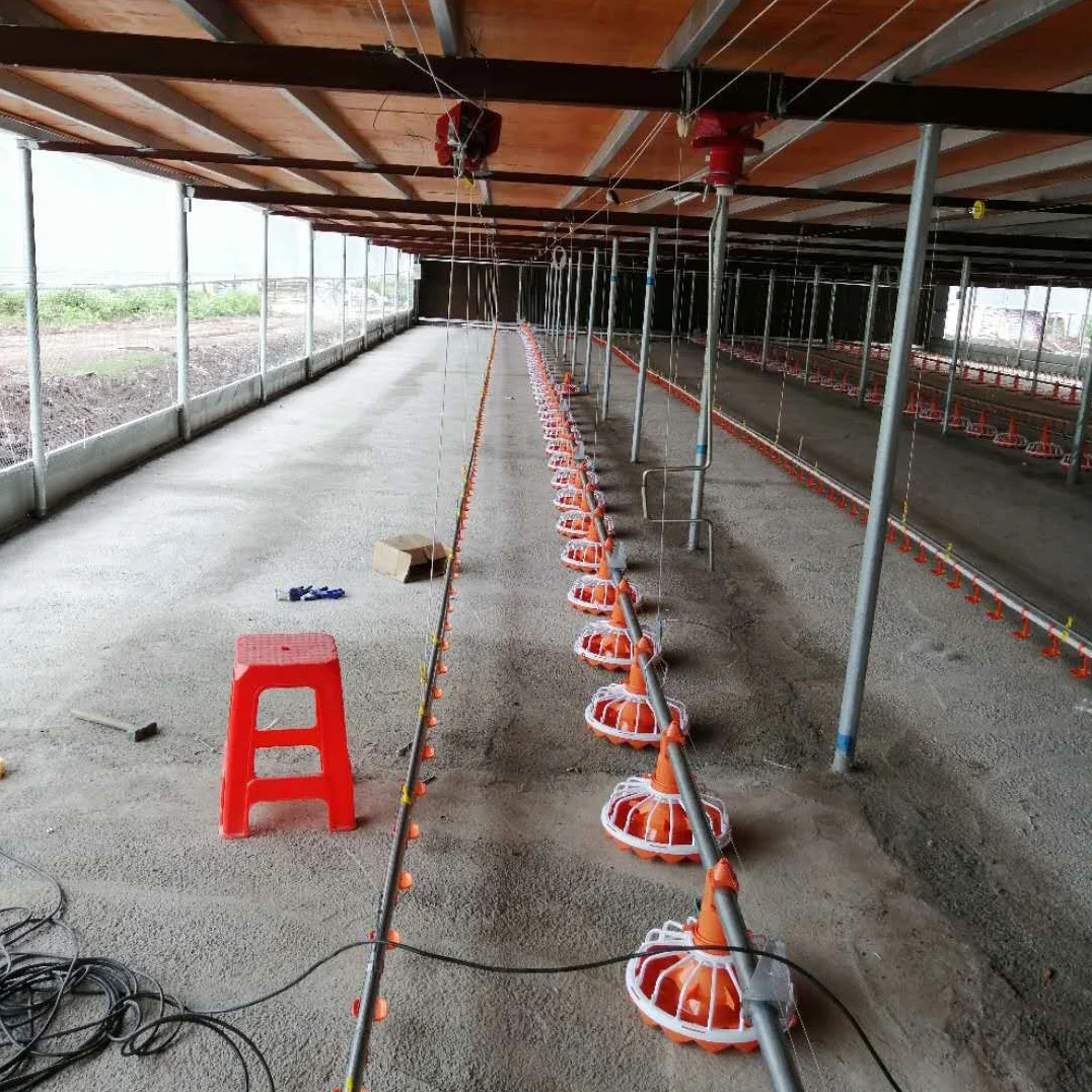 pan feeding system  for broiler layer chicken drinkers automatic pan feeding system