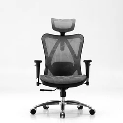 SIHOO M57 High Back Silla Ergonomic Swivel Mesh Office Boss Computer Silla Ergonomic Executive Chair