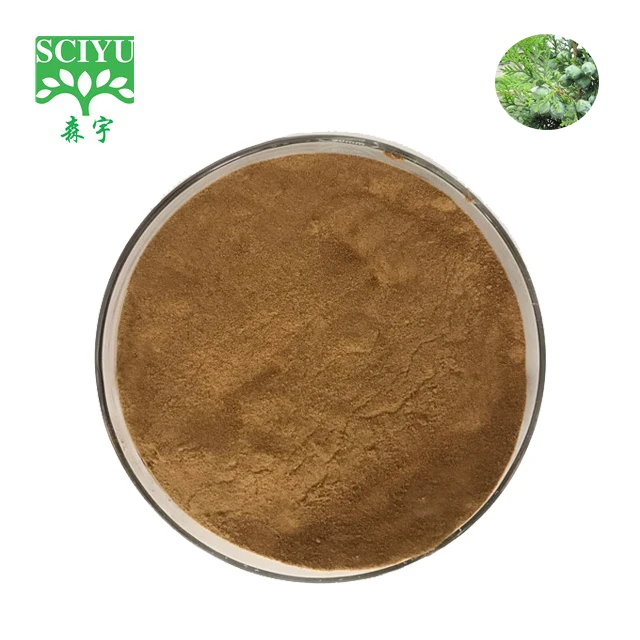 Enhancing Hair Growth Thuja Leaf Extract / Thuja Orientalis Powder