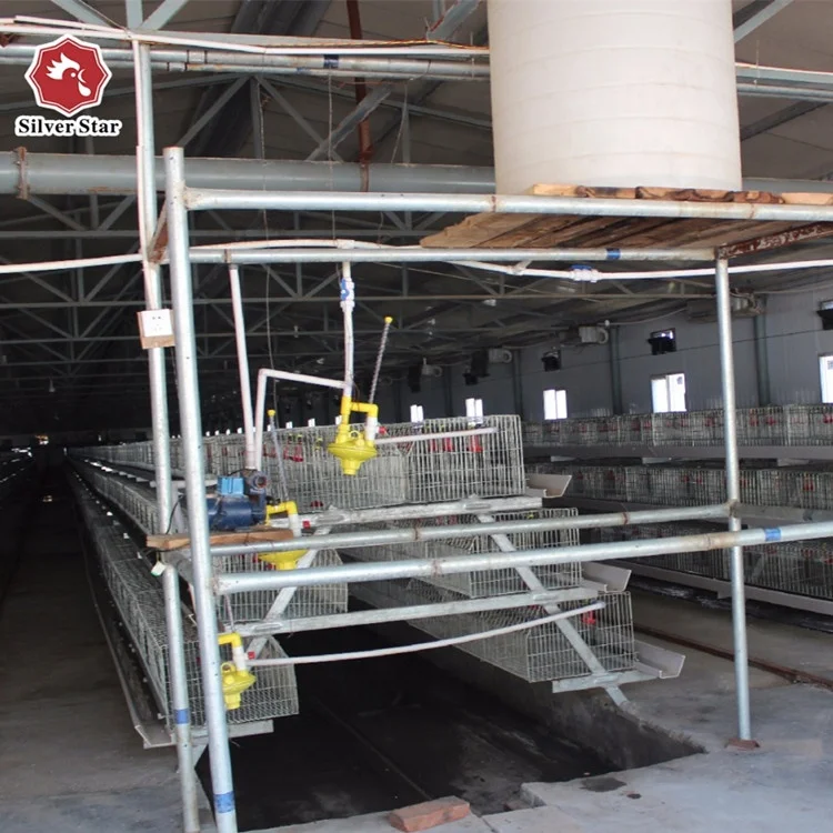 Automatic Pullet Chick Battery Cage for Day Old Layer Chick Cage