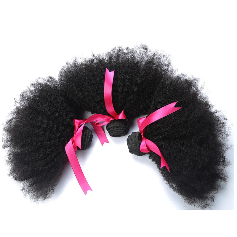 
Human Hair Afro Kinky Curly 3 Bundles With Closure Free Part 