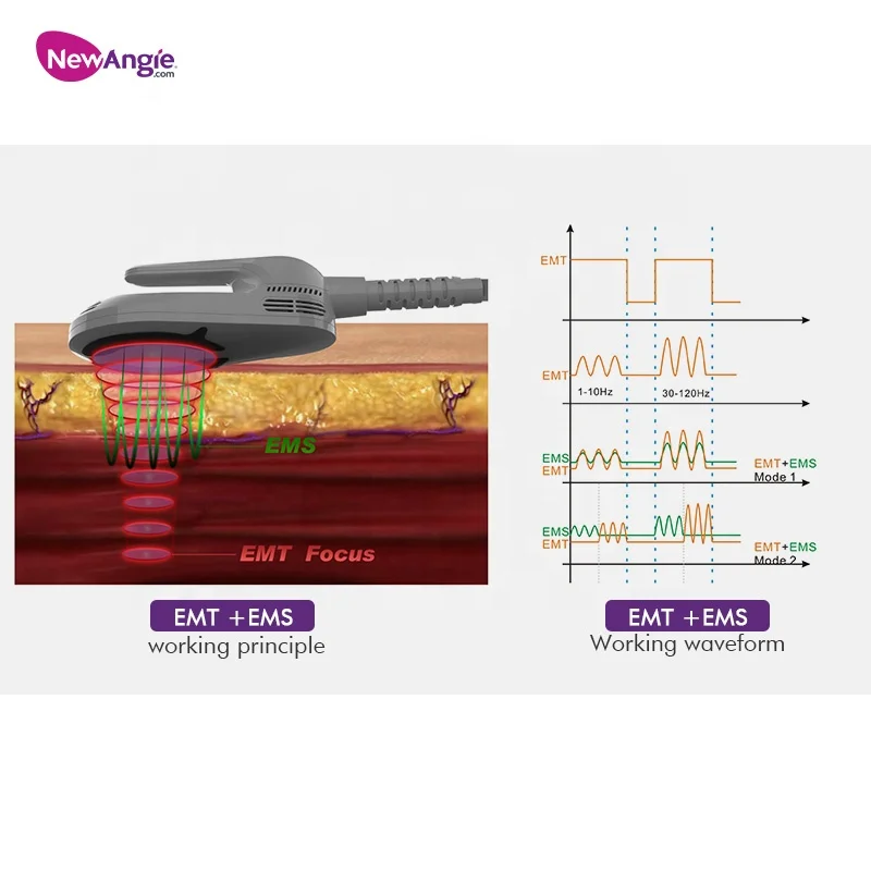 4 handles high intensity focused electromagnetic 7 tesla  weight loss, muscle gain and butt lift  machine