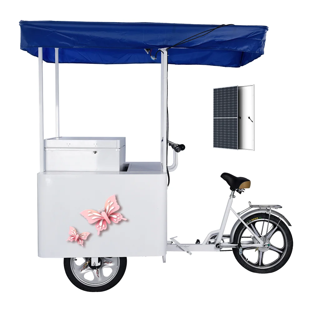 Brilliant Ice Cream Tricycle with three wheels and 108 L solar deep chest Freezer all in one ice cream bicycle practical