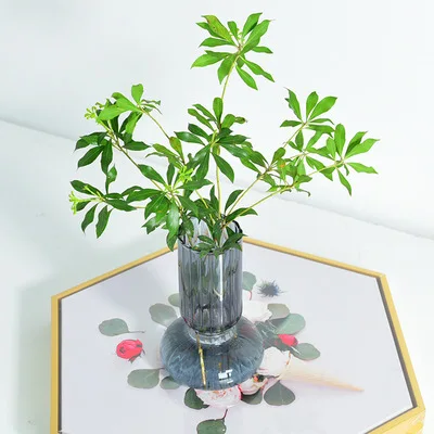 Nordic ins color striped hydroponic desktop living room plant vase blue flower