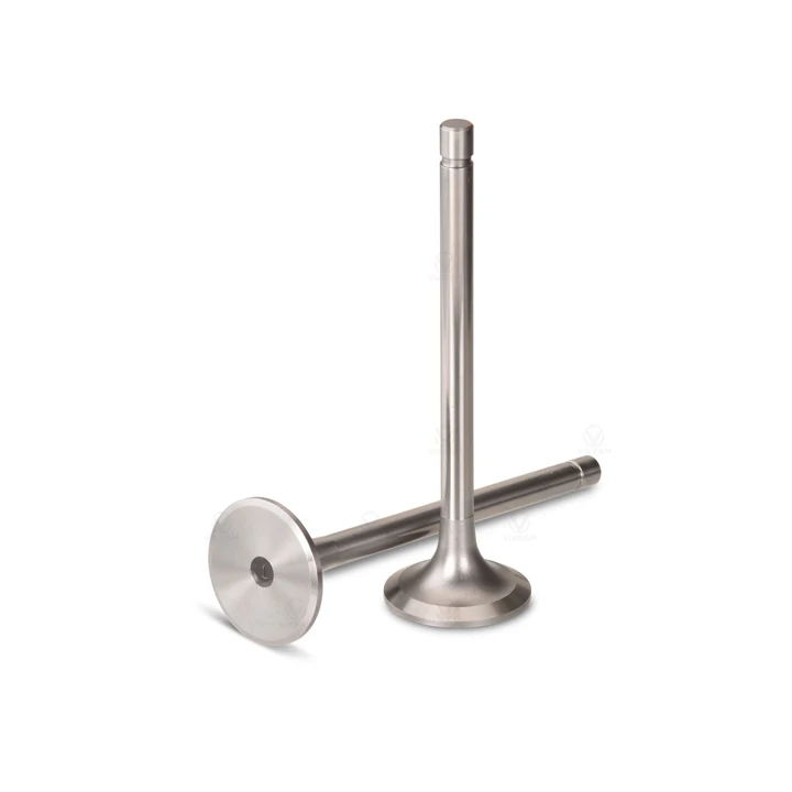 New auto parts intake exhaust valve high quality engine parts stainless steel intake valve for VW
