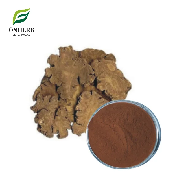 Factory Supply 100% Natural Ligusticum Chuanxiong Extract 99% Lovage Rhizoma Powder