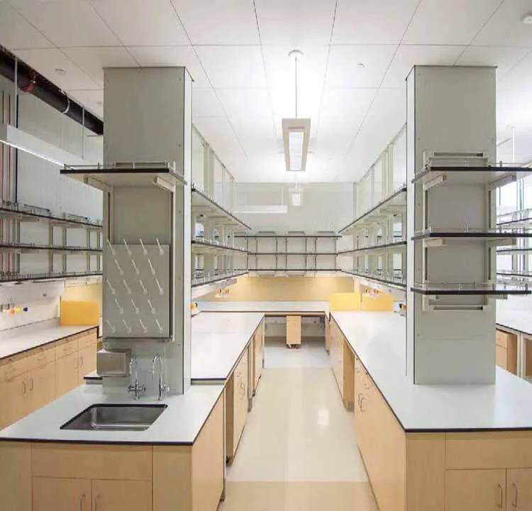 High-level experiment lab table, test bench used in plant tissue culture laboratory bench